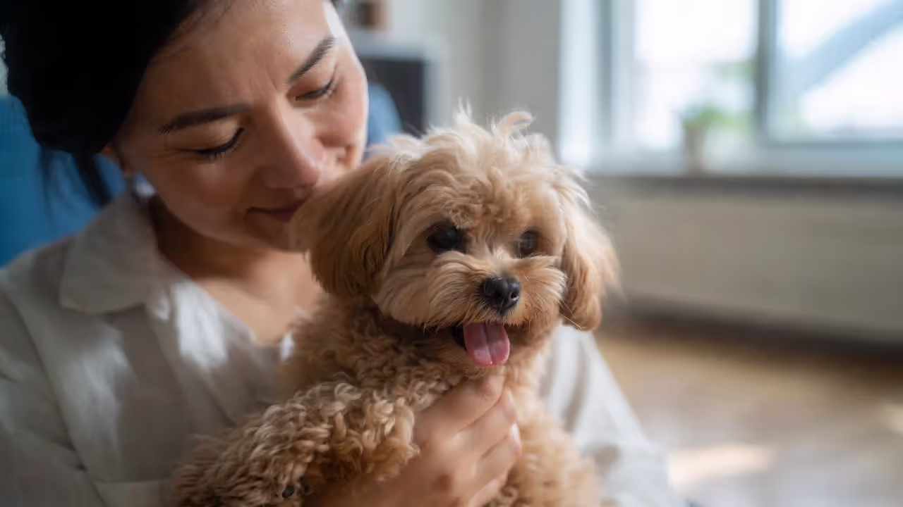 Journal About Pet Insurance Guide