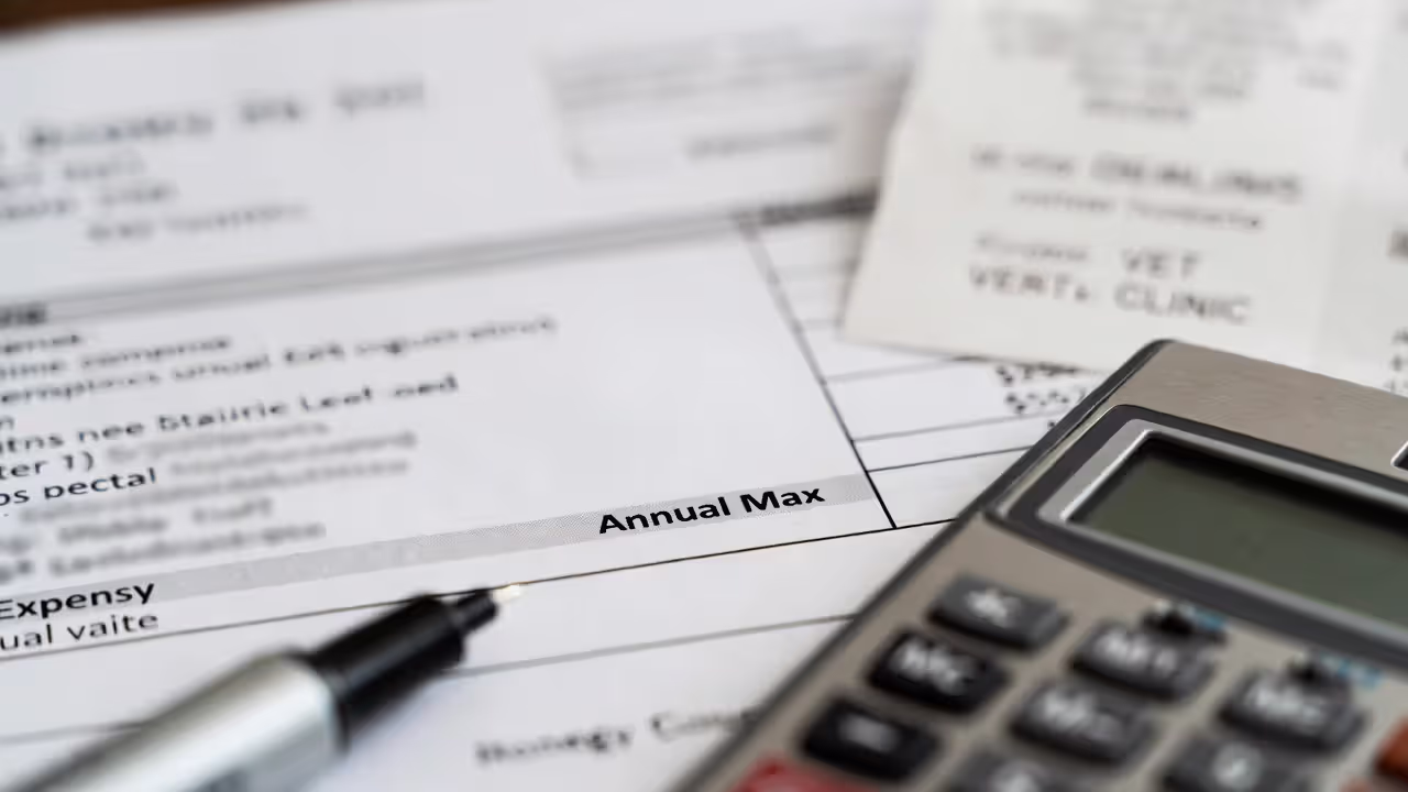 Highlighting an annual maximum line on a pet insurance cost breakdown next to a calculator