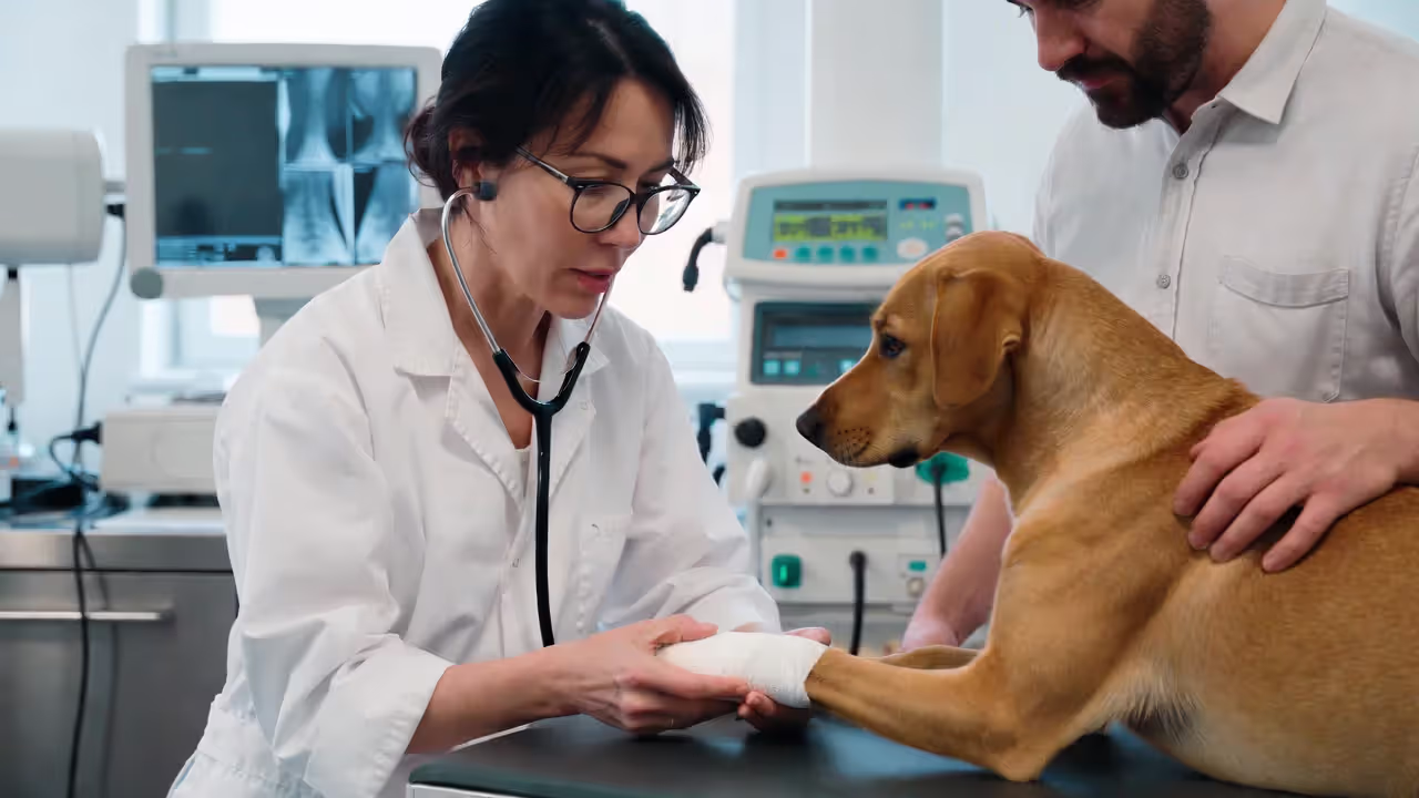 Accident coverage helps when sudden injuries require urgent care.