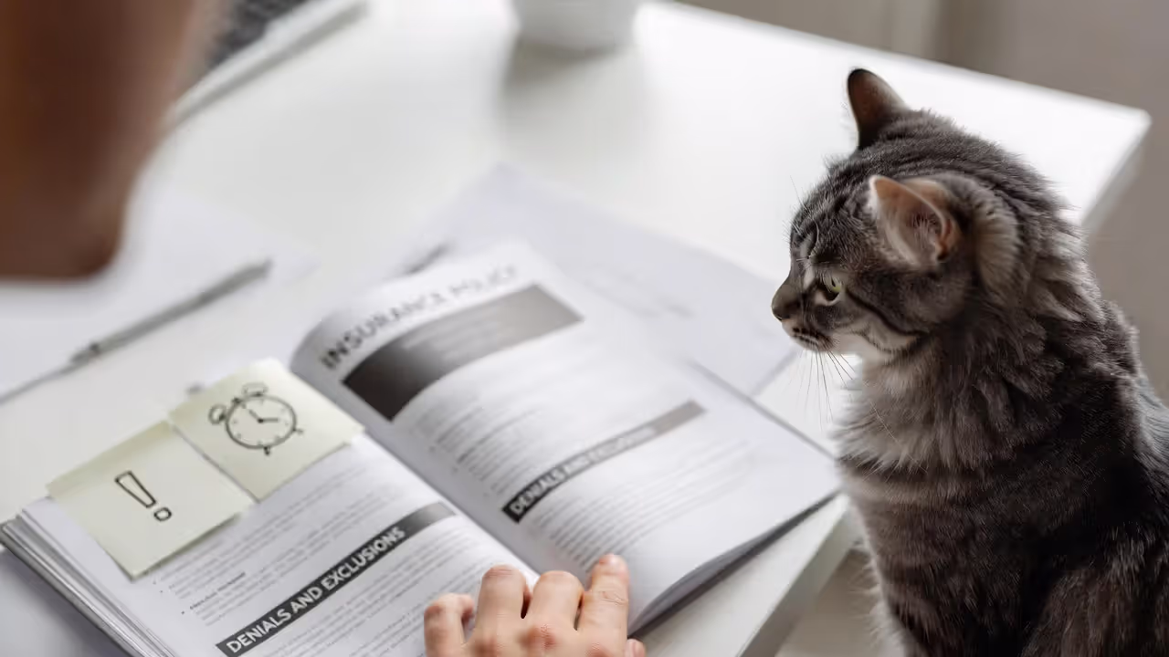 Most surprises come from exclusions and pre-existing rules.