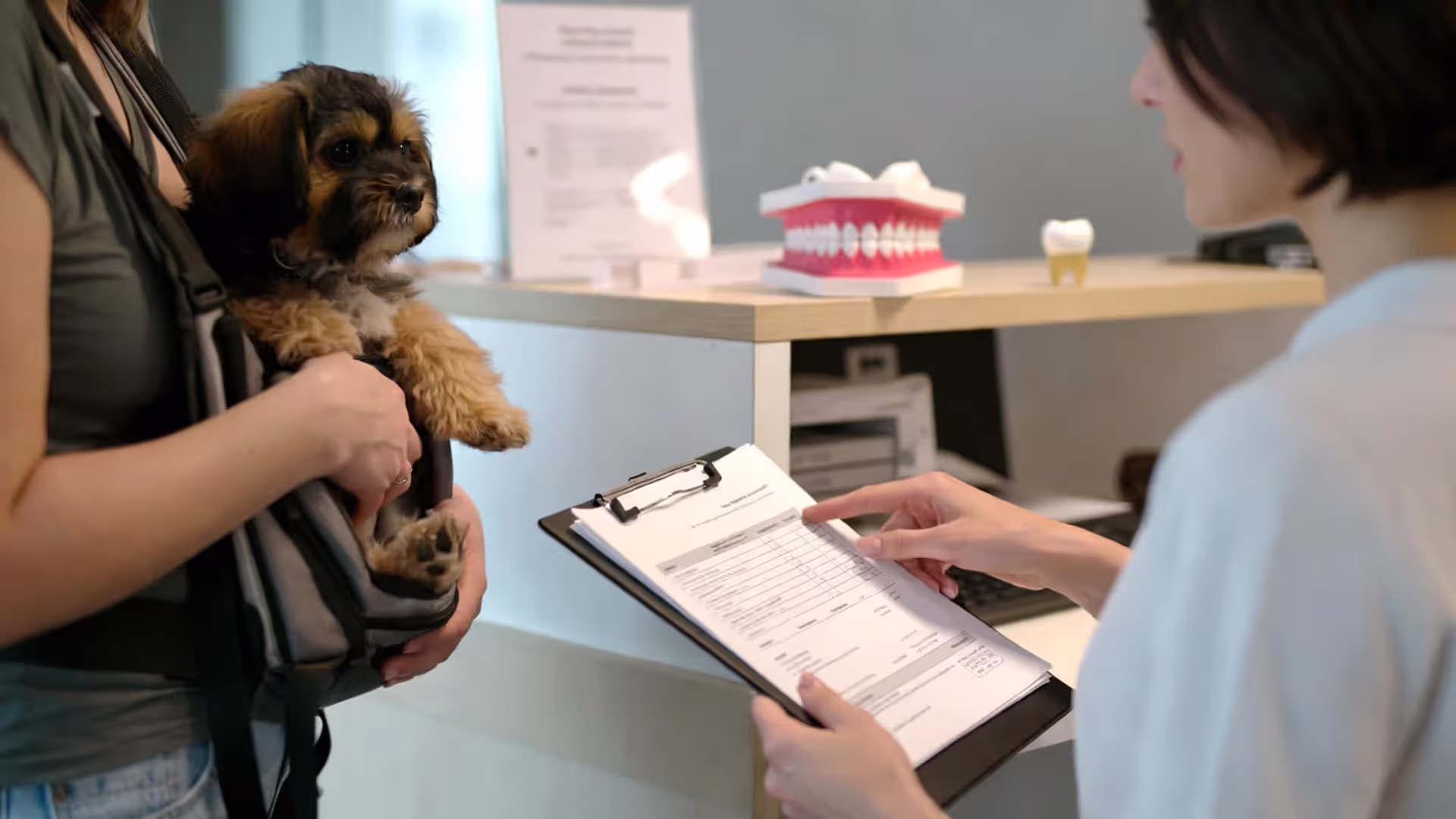 Understanding dental coverage prevents expensive surprises.