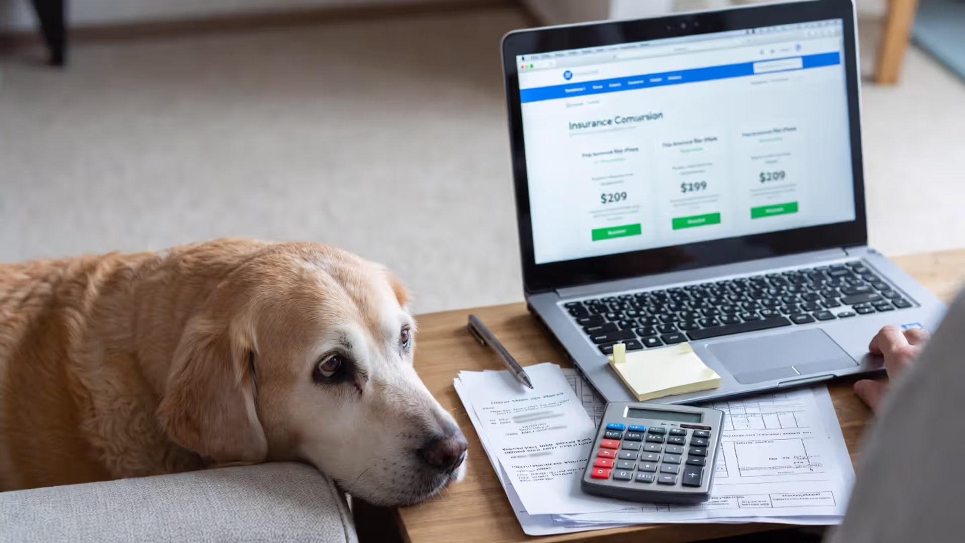 Pet Insurance for Older Dogs — How to Find Senior Coverage